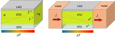 Graphical abstract: Ultra-thin magnetic film with giant phonon-drag for heat to spin current conversion