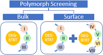 Graphical abstract: Polymorph screening at surfaces of a benzothienobenzothiophene derivative: discovering new solvate forms