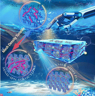 Graphical abstract: A “Mesh Scaffold” that regulates the mechanical properties and restricts the phase transition-induced volume change of the PNIPAM-based hydrogel for wearable sensors