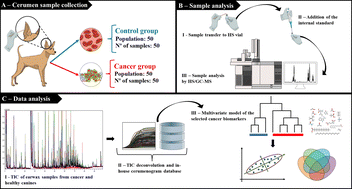 Graphical abstract: Cancer evaluation in dogs using cerumen as a source for volatile biomarker prospection