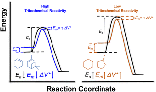 Graphical abstract: Elucidating tribochemical reaction mechanisms: insights into tribofilm formation from hydrocarbon adsorbates coupled with tribochemical substrate wear