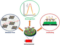 Graphical abstract: Universal nanocomposite coating with antifouling and redox capabilities for electrochemical affinity biosensing in complex biological fluids