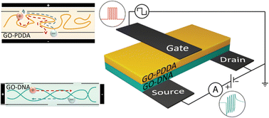 Graphical abstract: Graphene oxide–DNA/graphene oxide–PDDA sandwiched membranes with neuromorphic function