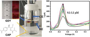 Graphical abstract: One-dimensional benzo[1,2-b:4,5-b′]dithiophene-based graphdiyne for electrochemical adsorption of chloramphenicol