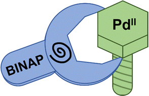 Graphical abstract: On the nature of optical activity in chiral transition metal complexes: [Pd(Me)2(BINAP)]