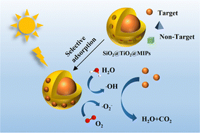 Graphical abstract: Efficient identification and degradation of tetracycline hydrochloride from water by molecularly imprinted core–shell structured SiO2@TiO2