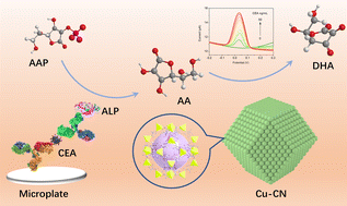 Graphical abstract: Electrochemical immunoassay based on an atomically Cu-dispersed nitrogen-doped carbon electrode for screening carcinoembryonic antigen