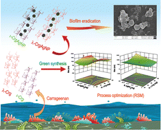 Graphical abstract: Comparative analysis of the physicochemical and anti-biofilm properties of iota and lambda carrageenan-capped silver nanocomposites synthesized using response surface methodology