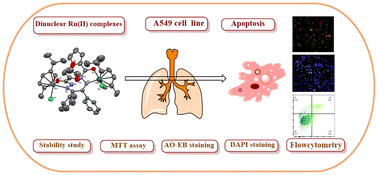 Graphical abstract: New dinuclear arene Ru(ii) benzilbis(furoylhydrazone) complexes: synthesis, structure, and anticancer activity