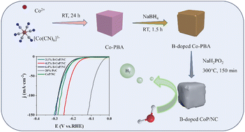 Graphical abstract: Boron-doped CoP/nitrogen-doped carbon drives enhanced alkaline hydrogen evolution