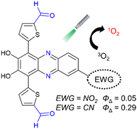Graphical abstract: Development of phenazine-2,3-diol-based photosensitizers: effect of substitution of the cyano group for the nitro group on singlet oxygen generation