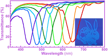 Graphical abstract: A hyper-reflective cholesteric liquid crystal polymer network with double layers