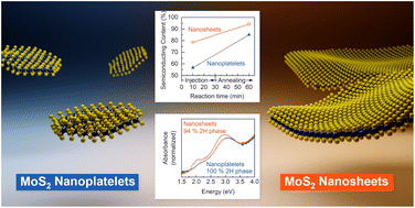 Graphical abstract: Untangling the intertwined: metallic to semiconducting phase transition of colloidal MoS2 nanoplatelets and nanosheets
