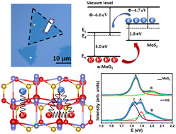 Graphical abstract: Observation of positive trions in α-MoO3/MoS2 van der Waals heterostructures
