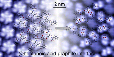 Graphical abstract: Kinetic versus thermodynamic polymorph stabilization of a tri-carboxylic acid derivative at the solid–liquid interface