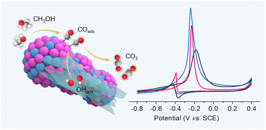 Graphical abstract: Hierarchical PdNi alloy nanochains coupled with Ni(OH)2 nanosheets to enhance CO-poisoning resistance for the methanol oxidation reaction