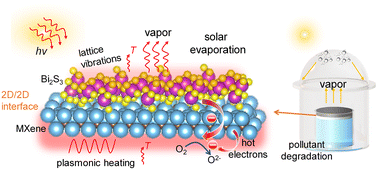 Graphical abstract: Synergistic photothermal conversion and photocatalysis in 2D/2D MXene/Bi2S3 hybrids for efficient solar-driven water purification