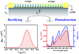 Graphical abstract: Two-dimensional HfS2–ZrS2 lateral heterojunction FETs with high rectification and photocurrent