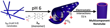 Graphical abstract: Electrostatic assembly of a multicomponent peptide/amphiphile nanotube