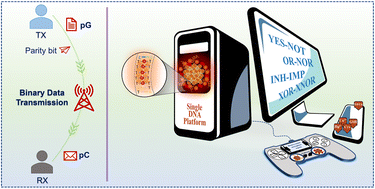 Graphical abstract: Nanoclusters with specific DNA overhangs: modifying configurability, engineering contrary logic pairs and the parity generator/checker for error detection