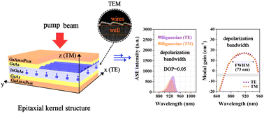 Graphical abstract: Ultra-broadband depolarization based on directly-coupled quantum wire-to-well modulation and their aliasing effect for polarization-insensitive light-emitting diodes