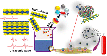 Graphical abstract: A resistance-driven H2 gas sensor: high-entropy alloy nanoparticles decorated 2D MoS2