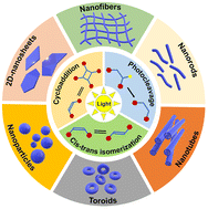 Graphical abstract: Light-regulated morphology control in supramolecular polymers