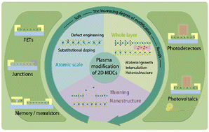 Graphical abstract: Recent progress in plasma modification of 2D metal chalcogenides for electronic devices and optoelectronic devices