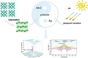 Graphical abstract: UV-modification of Ag nanoparticles on α-MoCx for interface polarization engineering in electromagnetic wave absorption