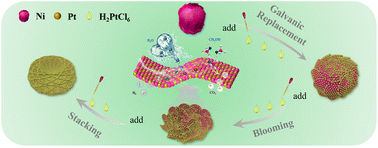 Graphical abstract: Galvanic replacement-induced preparation of bloom-like Pt23Ni77 for methanol coupled efficient hydrogen production