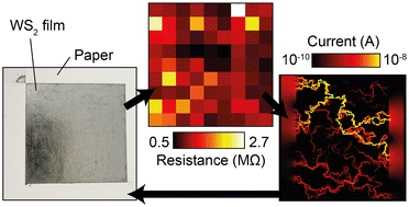 Graphical abstract: Electrical properties of disordered films of van der Waals semiconductor WS2 on paper