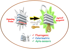 Graphical abstract: An overview on the development of different optical sensing platforms for adenosine triphosphate (ATP) recognition