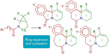 Graphical abstract: Bicyclic N-dihalocyclopropylamide derivatives as precursors of nitrogen-containing fused polycyclic systems