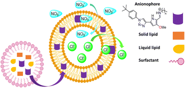 Graphical abstract: Formulation and evaluation of anion transporters in nanostructured lipid carriers