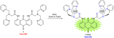 Graphical abstract: Turn-on fluorogenic sensors based on an anthraquinone signaling unit for the detection of Zn(ii) and Cd(ii) ions