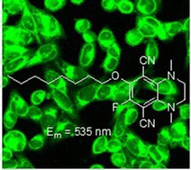 Graphical abstract: Conversion of amino-terephthalonitriles to multi-substituted single benzene fluorophores with utility in bioimaging