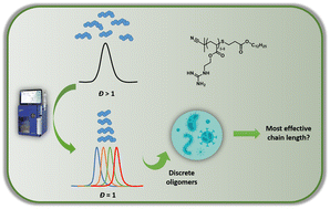 Graphical abstract: Narrowing down chain length effects on the antibacterial action of guanylated oligomers