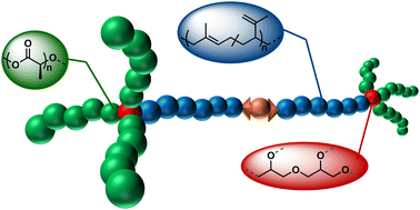 Graphical abstract: Synthesis of phase-separated super-H-shaped triblock architectures: poly(l-lactide) grafted from telechelic polyisoprene