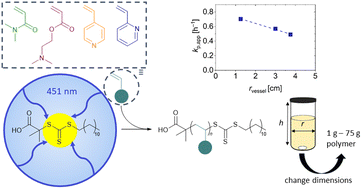 Graphical abstract: Blue light-induced iniferter RAFT polymerization in aqueous-alcoholic media as a universal tool for the homopolymerization of various monomer families: kinetic investigations on different scales