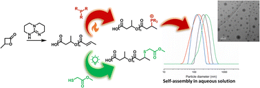 Graphical abstract: Post-polymerisation modification of poly(3-hydroxybutyrate) (PHB) using thiol–ene and phosphine addition