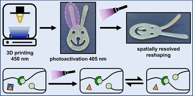 Graphical abstract: Spatially resolved photoactivation of dynamic exchange reactions in 3D-printed thiol–ene vitrimers