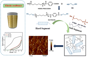 Graphical abstract: Flexible preparation of PA6-based thermoplastic elastomer filaments with enhanced elasticity, melt spinnability and transparency enabled by high-molecular-weight soft segments