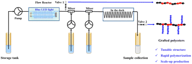 Graphical abstract: Continuous synthesis of grafted polyesters through successive photocontrolled BIT-RDRP and ROP strategies in flow tube reactors