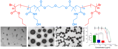 Graphical abstract: ABA block copolymers comprising a water soluble poly(N-hydroxyethyl acrylamide) B block form self-assemblies of varied morphologies in an aqueous environment