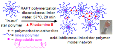 Graphical abstract: Acid-labile and non-degradable cross-linked star polymer model networks by aqueous polymerization for in situ encapsulation and release