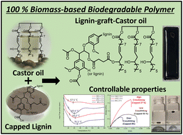 Graphical abstract: Fully biomass-based biodegradable polymers from lignin and raw castor oil: lignin-graft-castor oil