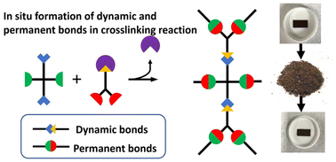 Graphical abstract: An effective approach for the preparation of epoxy vitrimers by in situ formation of dynamic and permanent linkages in a one-pot curing reaction