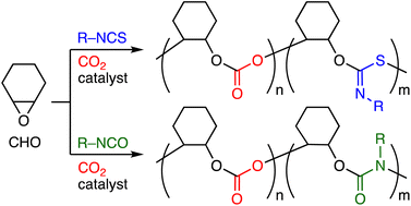 Graphical abstract: Terpolymerizations of cyclohexene oxide, CO2, and isocyanates or isothiocyanates for the synthesis of poly(carbonate–urethane)s or poly(carbonate–thioimidocarbonate)s