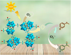 Graphical abstract: The tail of imidazole regulated the assembly of two robust sandwich-type polyoxotungstate-based open frameworks with efficient visible-white-light-driven catalytic oxidation of sulfides