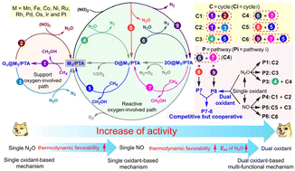 Graphical abstract: Insights into elusive and cooperative multi-oxidant mechanisms in enabling catalytic methane-to-methanol conversion over atomically dispersed metals